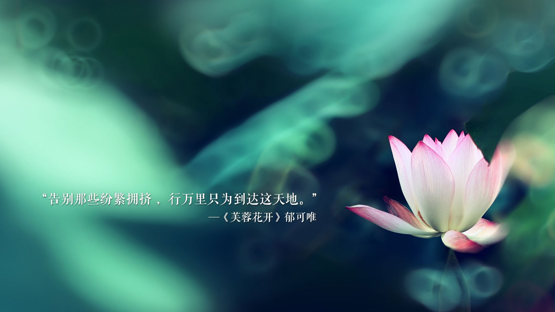 抢断神技：场上逆转转机的关键一刹那，抢断王有用吗