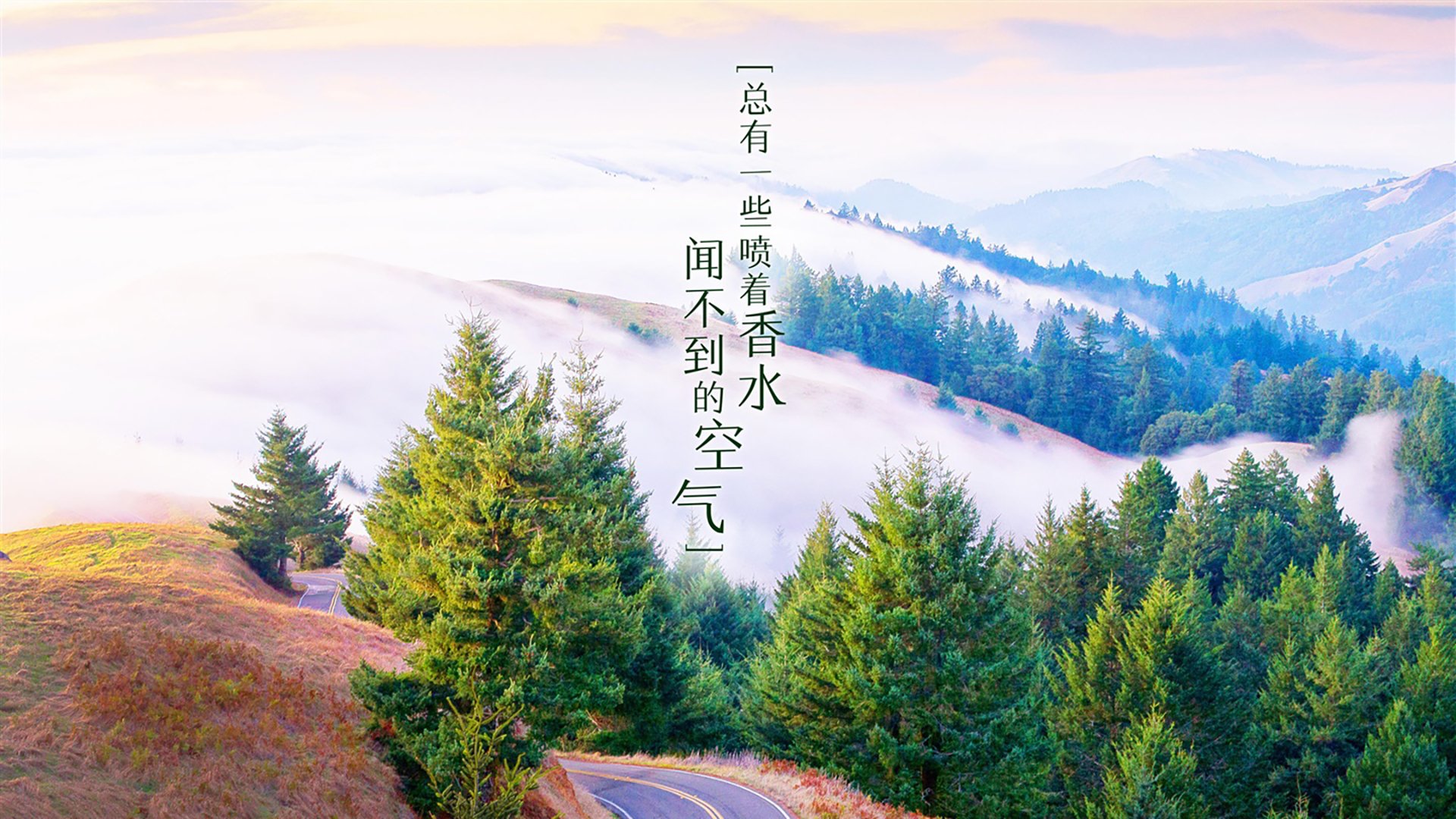 开云网站-奥古斯堡遭受打击不利，需要及时调整战术，奥古斯堡学院