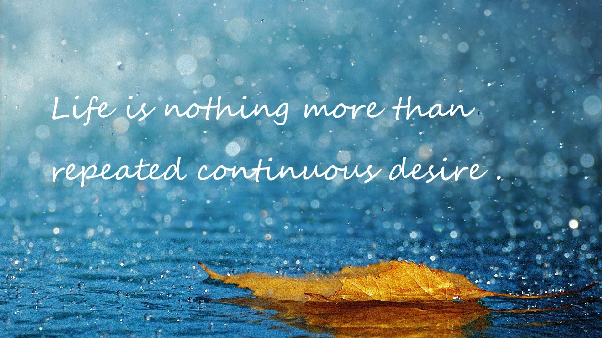 波尔图球员入选国家队,波尔图首发球员名单