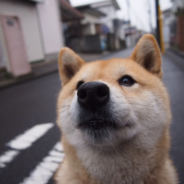 罗马客场爆冷负于都灵,主场连续不胜客场表现一般,罗马主场在哪