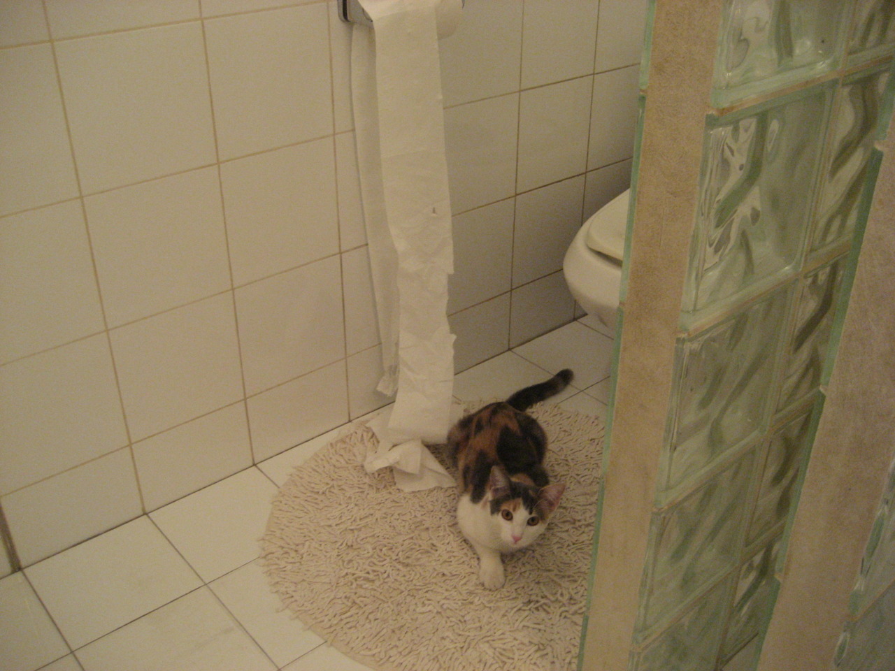 中国青少年篮球推广模式创新,中国青少年篮球推广模式创新案例