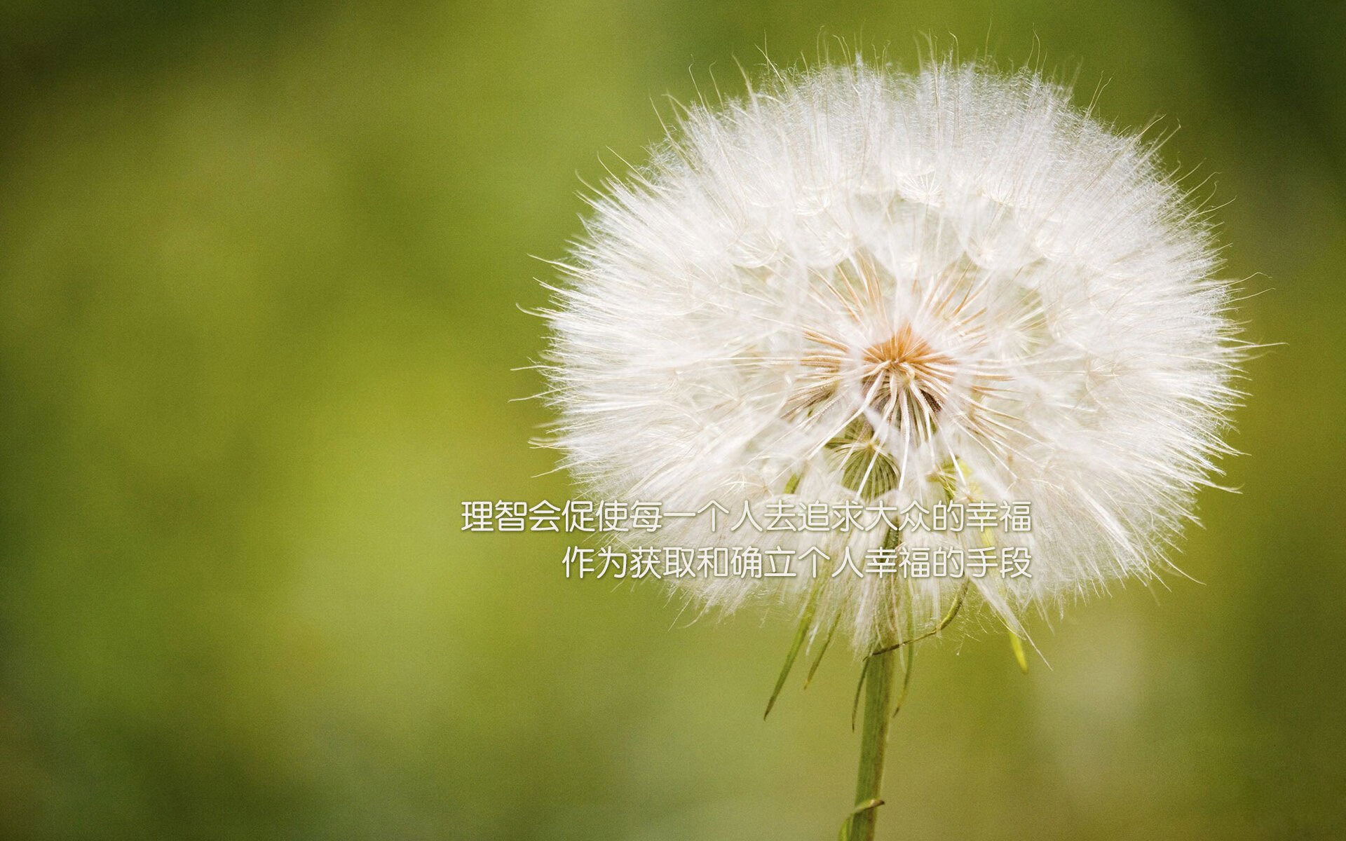 意甲青训营引入心理韧性训练促进球员压力管理，意甲青训规则