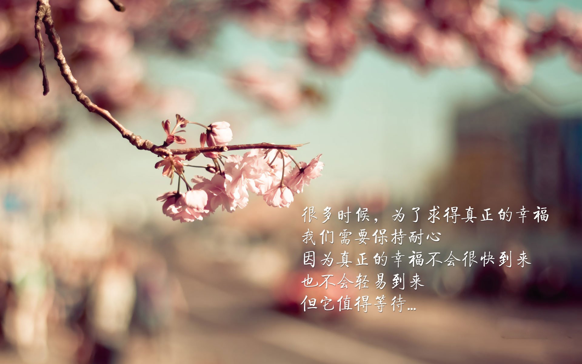 200自个人突破赛季最佳，创小组奇迹