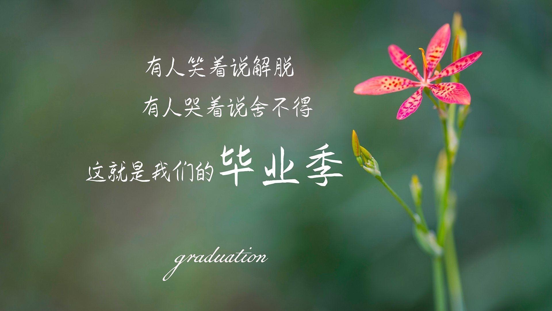 自由搏击比赛强调规则认知与赛后反思,自由搏击比赛规则回合