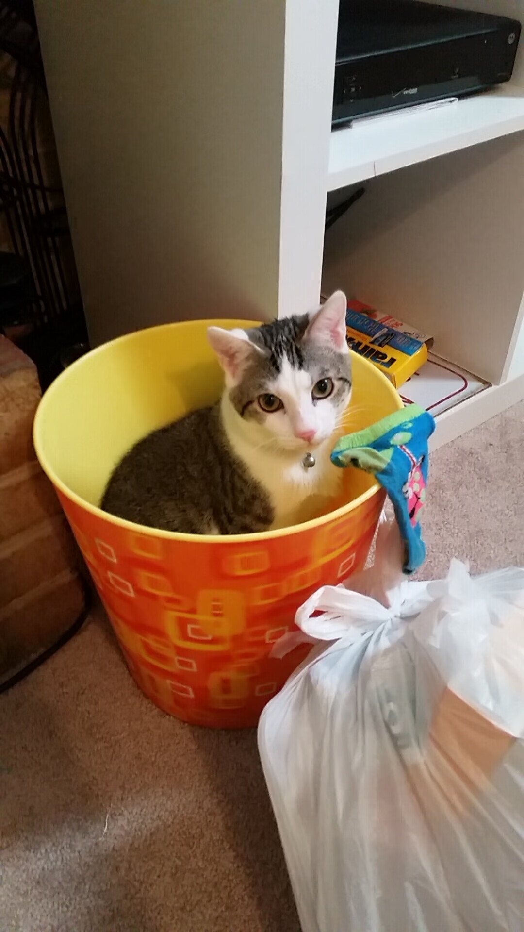 开云·体育官网APP下载-青少年体育社团创新实践成果获奖作品展出，学生体育社团活动主题