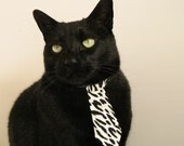 国家队体能储备训练升级助力球员应对高强度赛程挑战,国家队体能通用标准