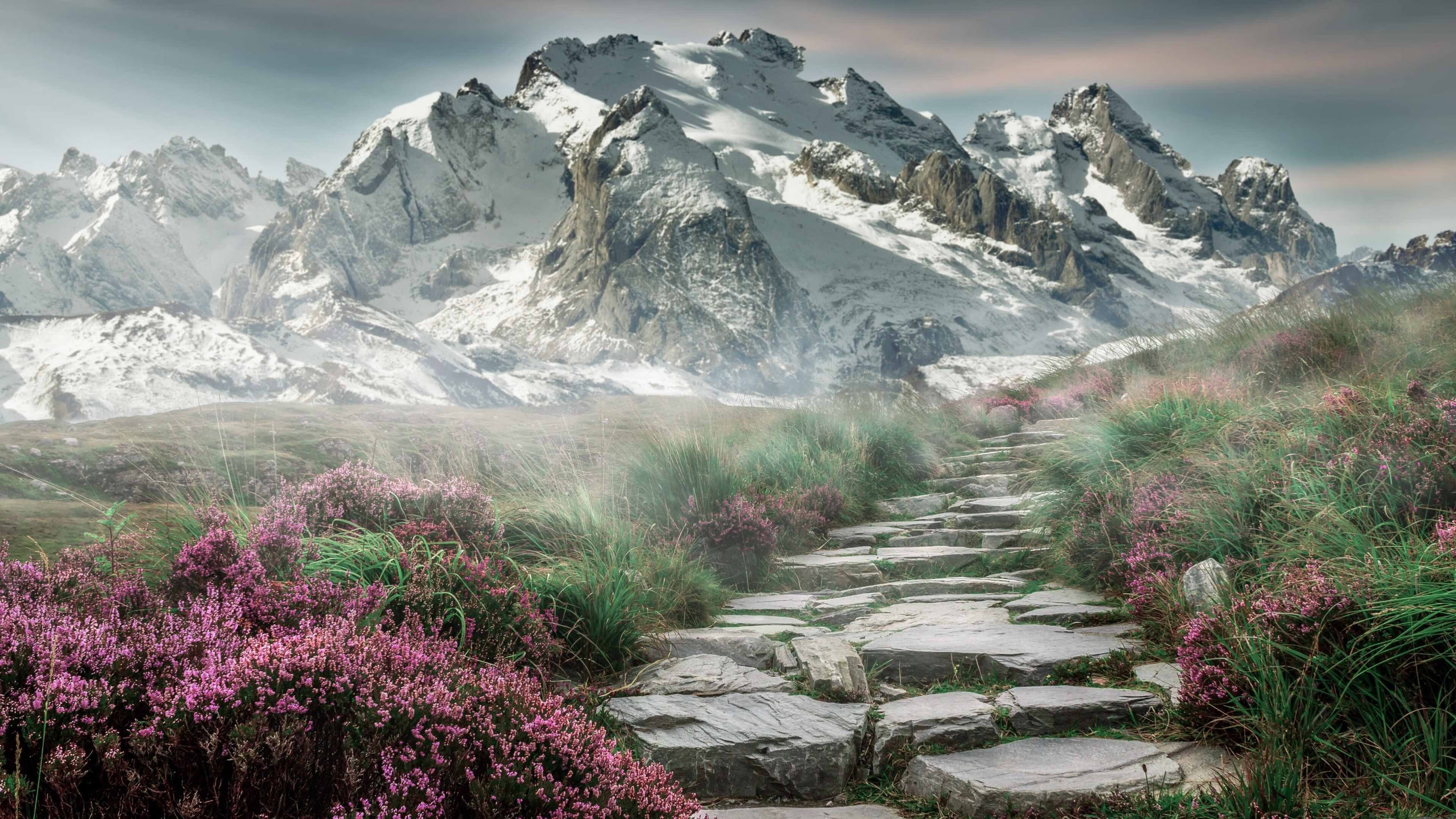 国际羽毛球大师赛激烈角逐,羽毛球大师赛是什么级别