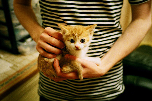 埃塞俄比亚男篮在非洲预赛中奋战,期待更好的未来