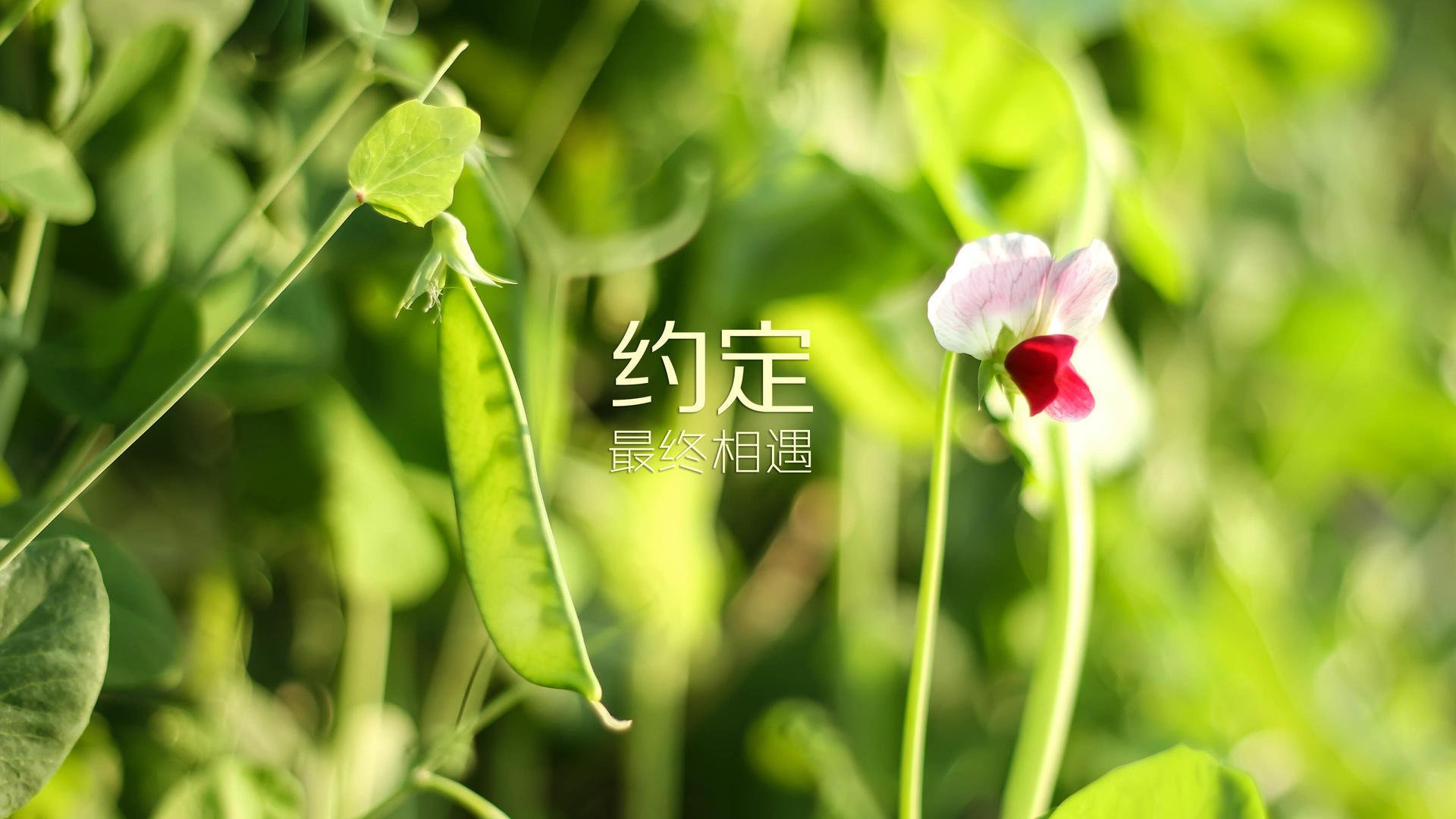 青训中心提供模拟选拔日增强实战心理适应力,青训选拔机制